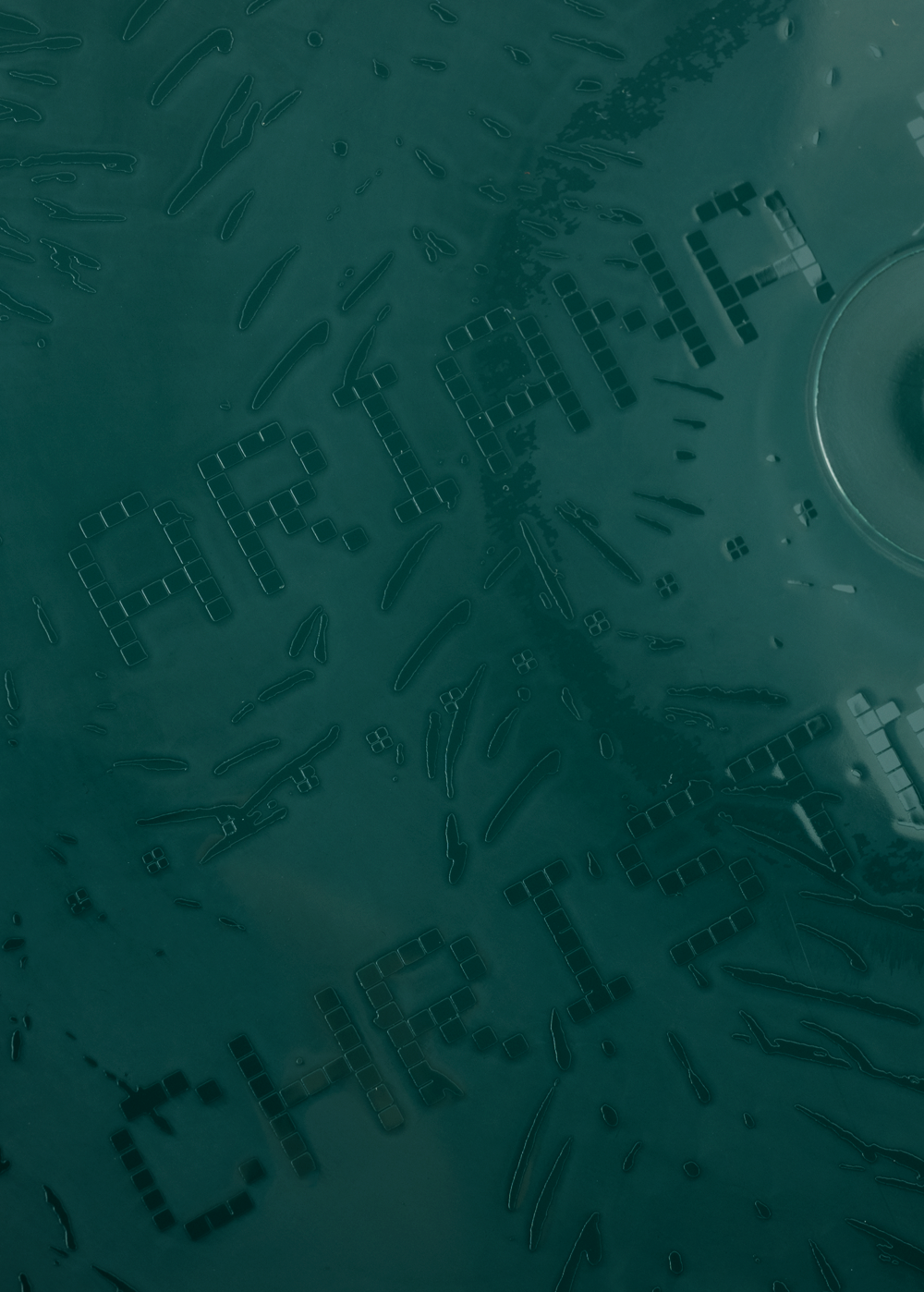 Ariana Grande - Christmas & Chill Vinilo (dark green with etching)