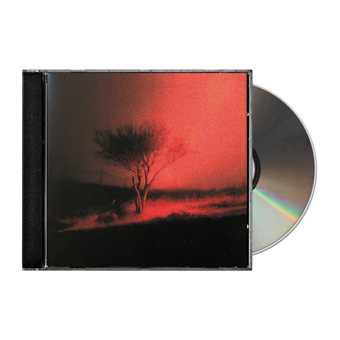 Joji - Piss In The Wind CD