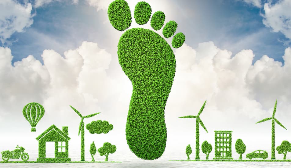 Por un cambio más verde